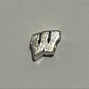 Wisconsin Badgers Charm
